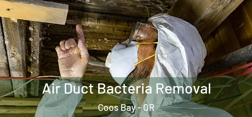 Air Duct Bacteria Removal Coos Bay - OR