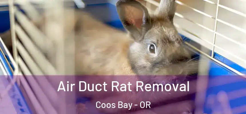  Air Duct Rat Removal Coos Bay - OR