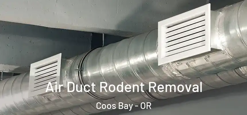  Air Duct Rodent Removal Coos Bay - OR