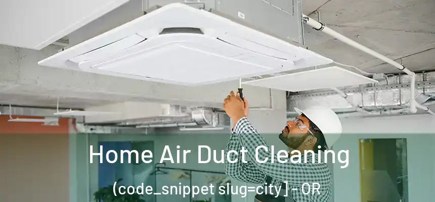  Home Air Duct Cleaning (code_snippet slug=city] - OR
