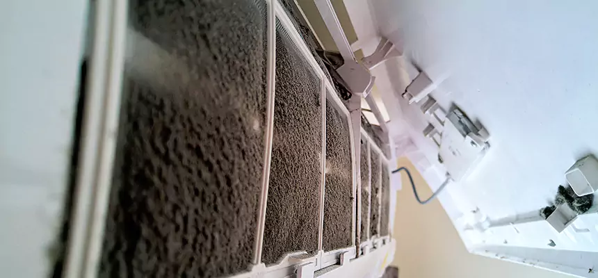 Preventive Air Duct Bacteria Removal in Coos Bay