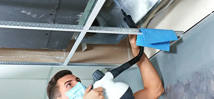 Our Air Duct Rodent Removal Services in Coos Bay, OR