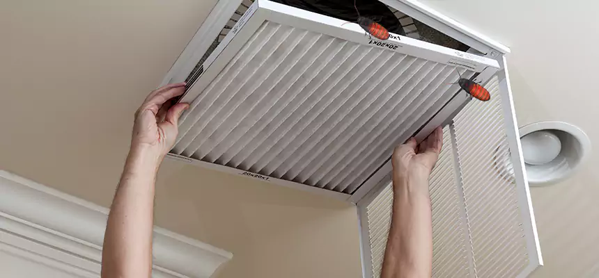 Our Insect Removal from Air Ducts Services in Coos Bay, OR