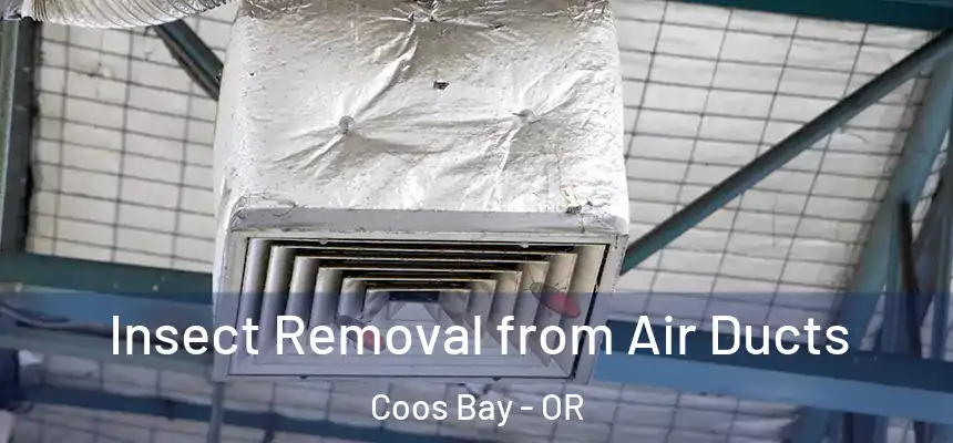  Insect Removal from Air Ducts Coos Bay - OR