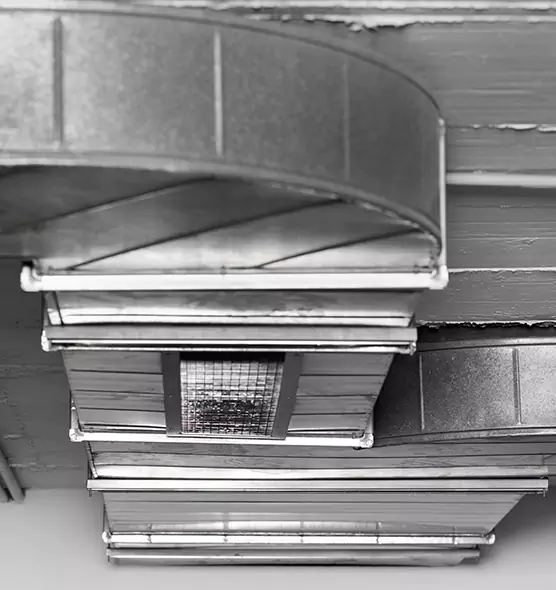 Professional Air Duct Pest Removal in Coos Bay, OR