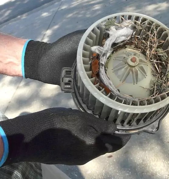 About Air Duct Rat Removal in Coos Bay, OR