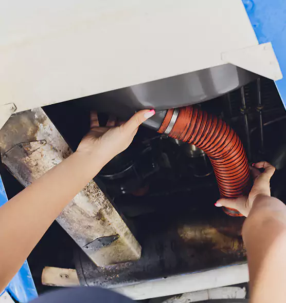 About Air Duct Virus Disinfection in Coos Bay, OR