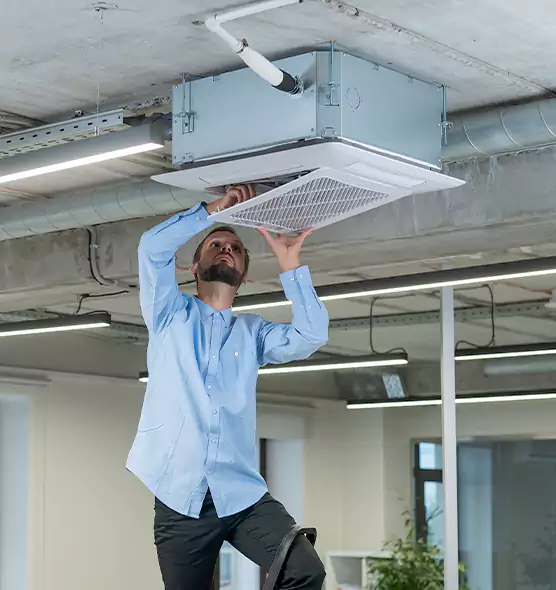 Advanced Rodent Droppings In Vents in Coos Bay, OR
