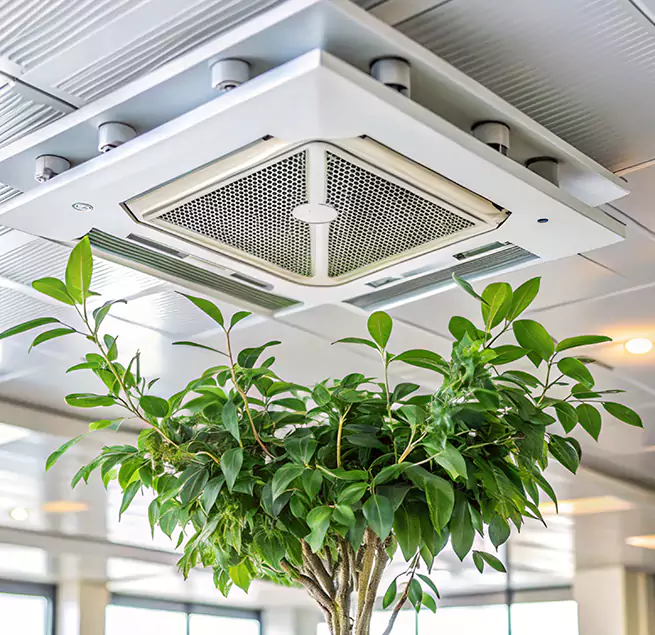 Why Homeowners & Businesses Trust Us in Coos Bay, OR?